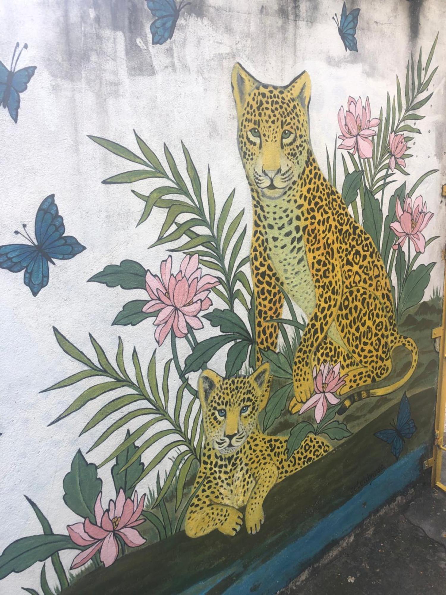 Onca Da Praia Hostel Vitoria Luaran gambar
